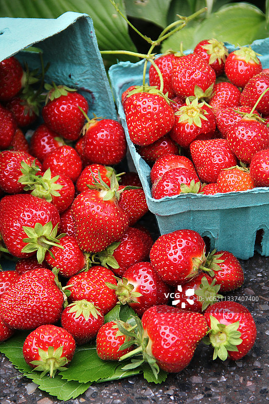 高角度的篮子草莓，伊斯顿，康涅狄格，美国，美国图片素材
