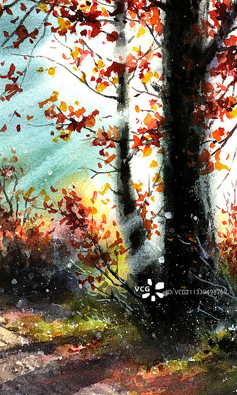 治愈系秋季枫叶风景图插画图片素材