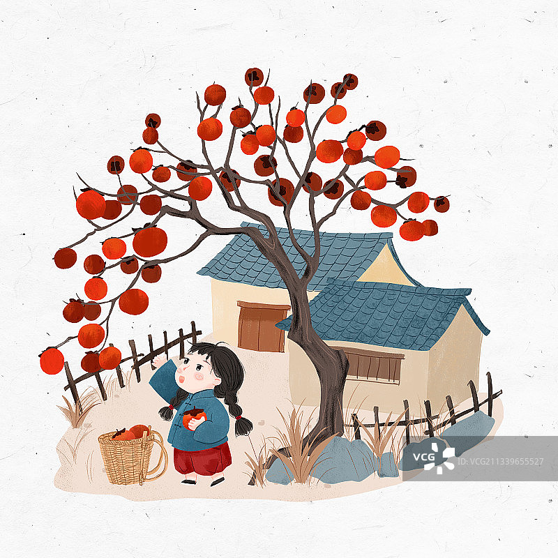 十月霜降摘柿子的女孩和瓦房手绘插画图片素材