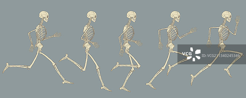 跑步循环人体骨架图图片素材