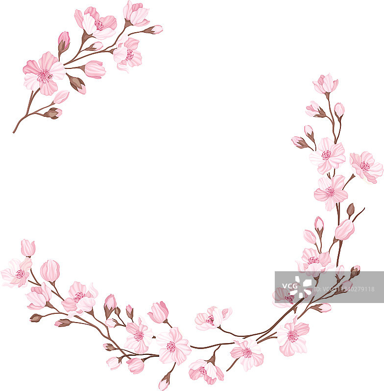 半圆形边缘排列的小枝樱花或图片素材