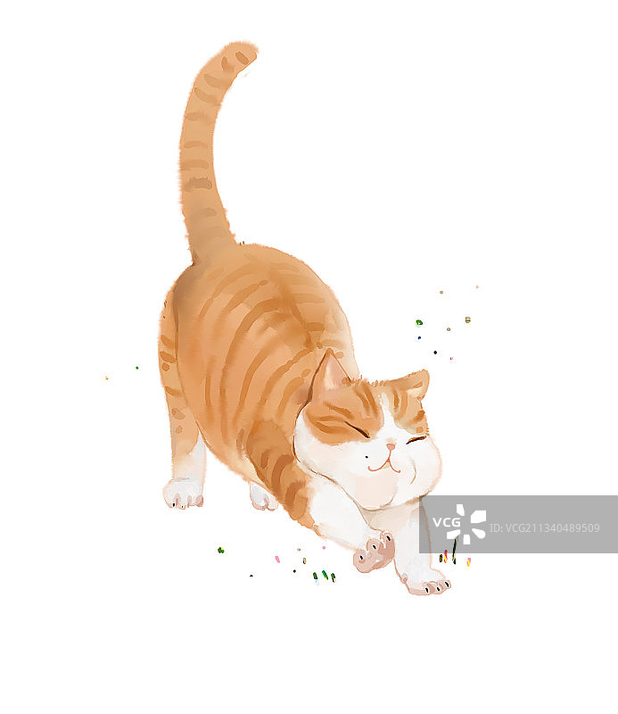 小猫伸懒腰水彩插画图片素材