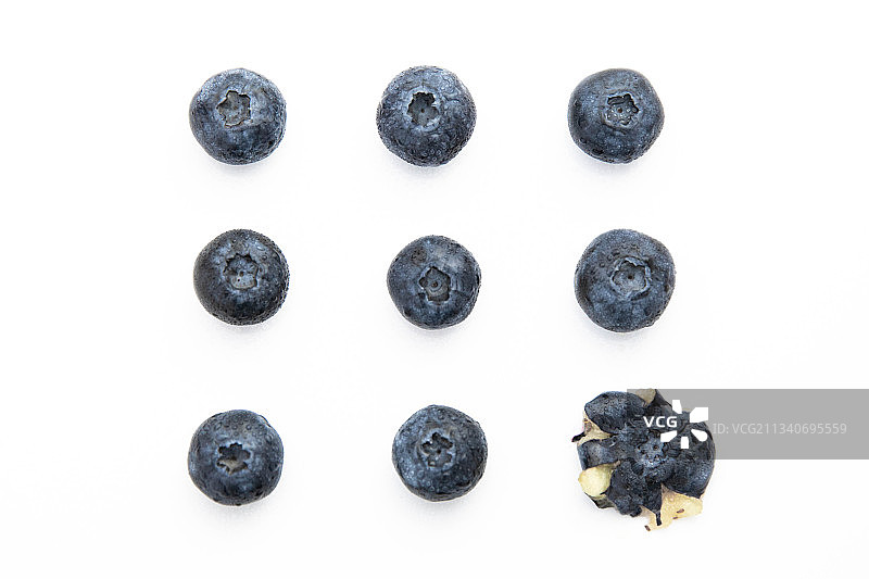 新鲜美味的蓝莓图片素材