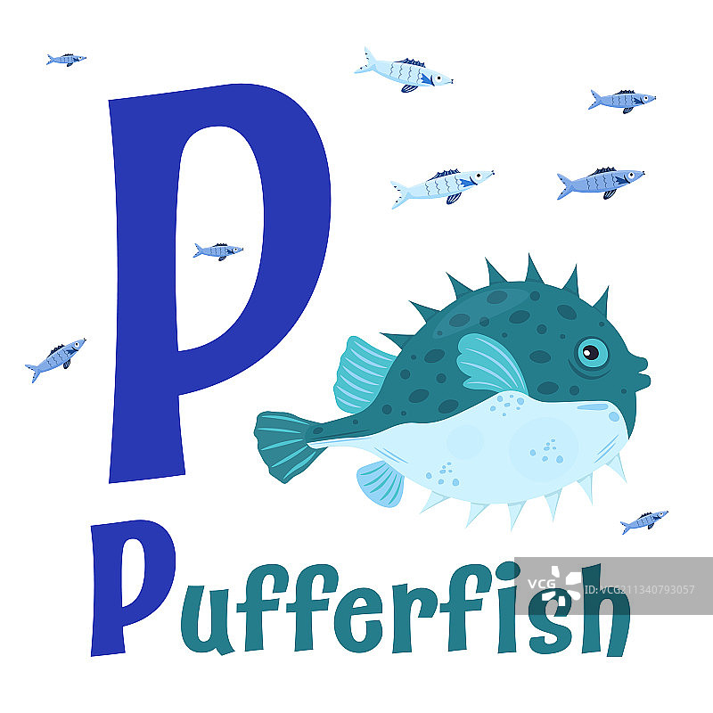 海洋动物字母表为儿童字母p图片素材