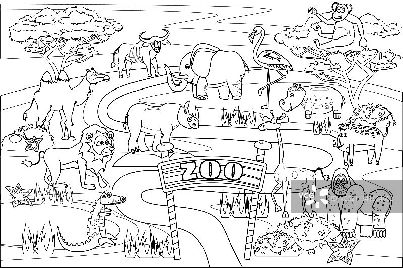 动物园丛林狩猎动物涂色书图片素材