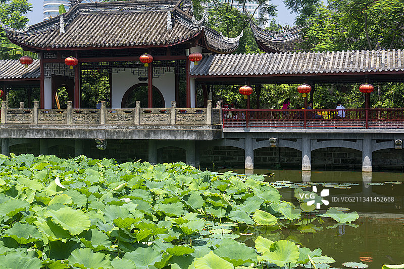2013-05-26中国，四川省，成都市，文化公园图片素材
