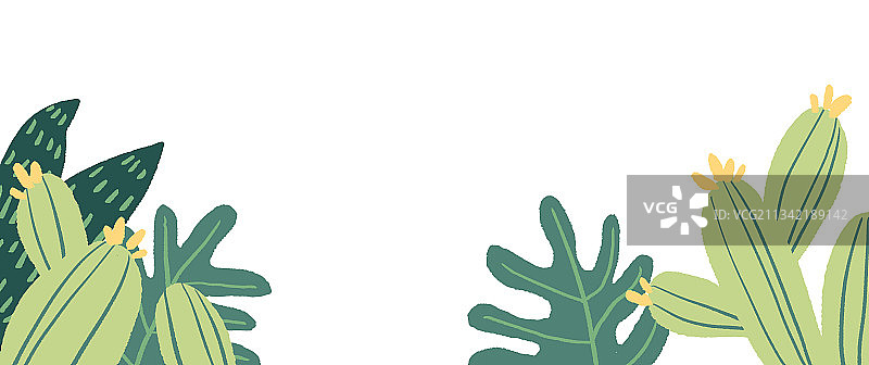 植物自然叶子仙人掌插画图片素材