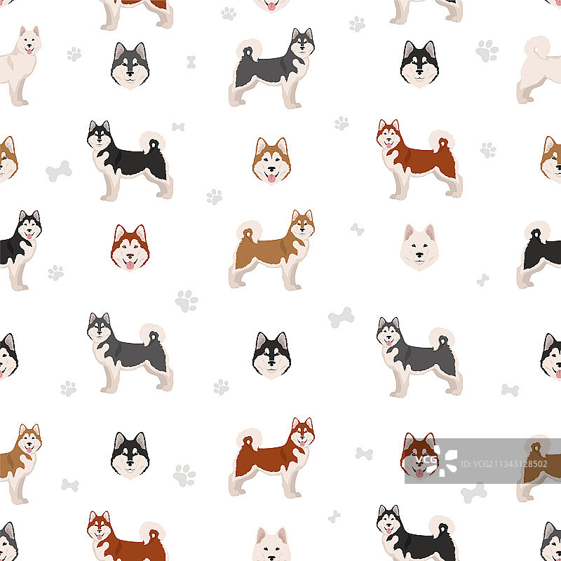 阿拉斯加雪橇犬所有颜色无缝模式图片素材