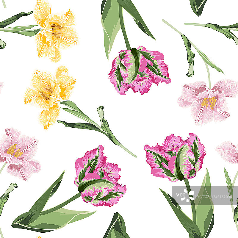 美丽的植物图案与许多郁金香图片素材