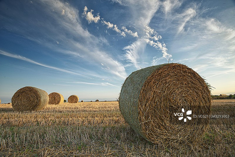 在天空的衬托下田野上的干草捆的风景图片素材