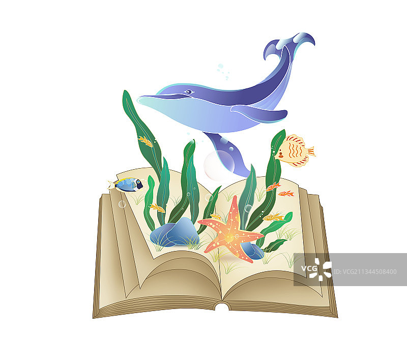 打开的书本上是海底生物插画图案图片素材