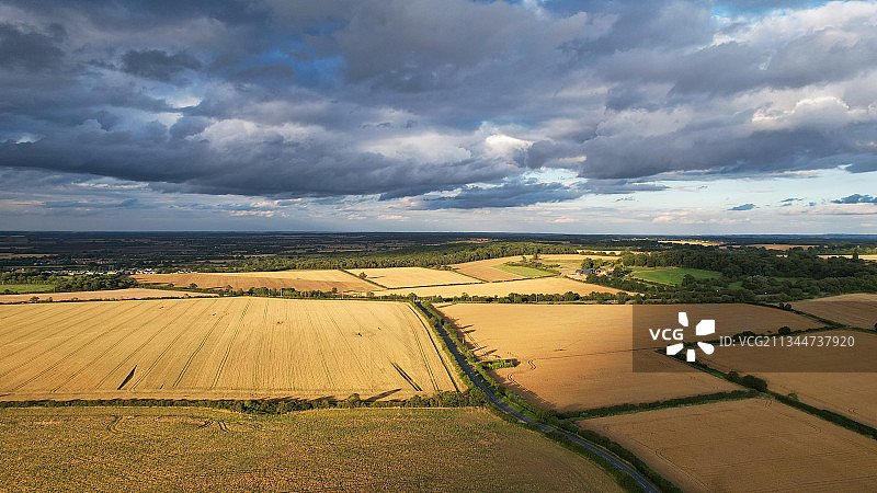 英国，贝德福德，天空映衬下的农田风景图片素材