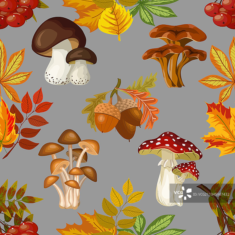 蘑菇和叶子的图案图片素材
