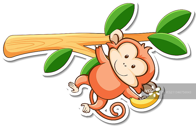 卡通人物可爱的猴子挂在一个图片素材
