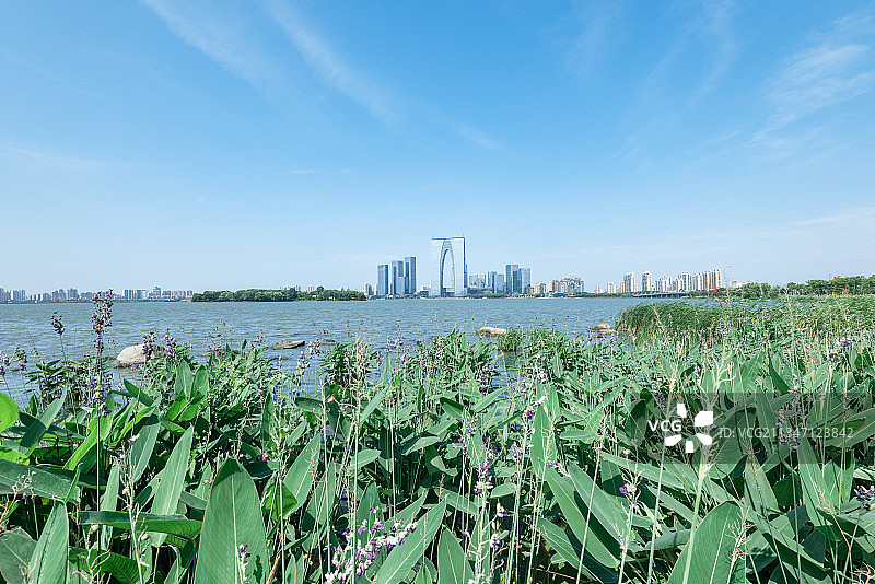 苏州金鸡湖滨水城市风光图片素材