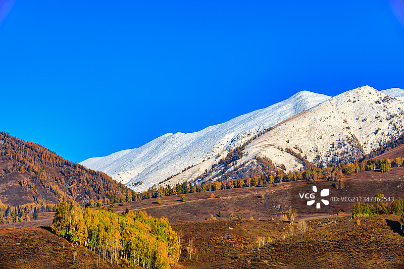 新疆禾木秋色雪山自然风光图片素材