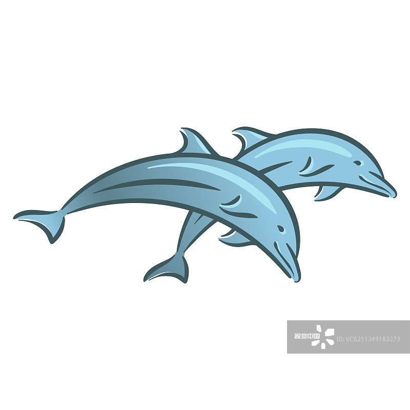 海洋海豚哺乳动物在水下游泳图片素材