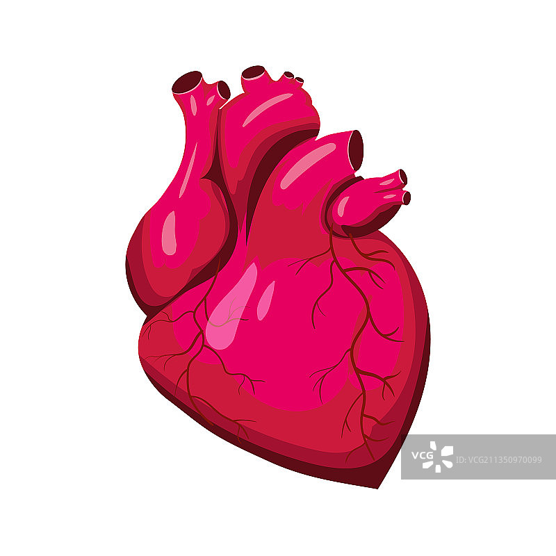 人体心脏肌肉器官的符号图标图片素材