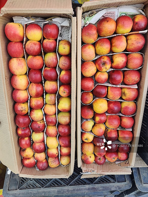 来自印度克什米尔的新鲜脆苹果图片素材