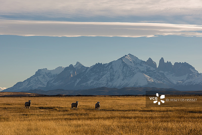 世界著名的山峰，旅行在南美洲智利托雷斯德尔潘恩国家公园。美丽图片素材