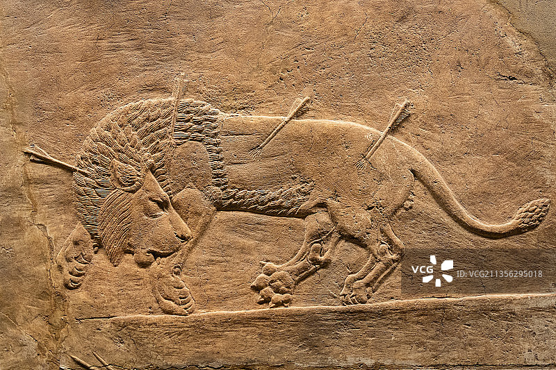 大英博物馆两河流域亚述巴尼拔猎狮浮雕图片素材