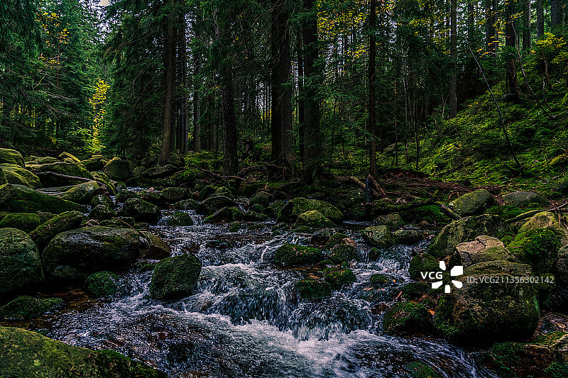 森林里溪流穿过岩石的风景图片素材