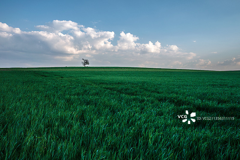 波兰，天空映衬下的农田风景图片素材