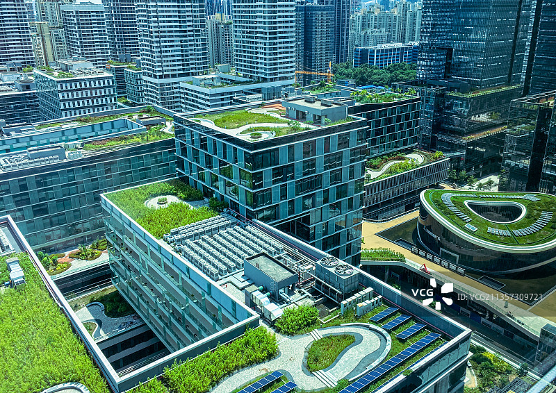 深圳湾科技生态园建筑群及楼顶花园图片素材