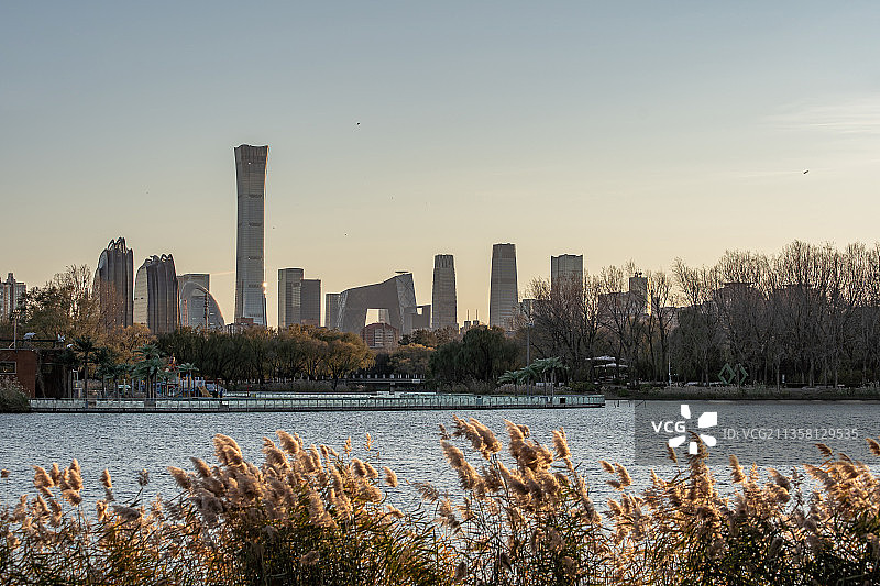 北京朝阳公园芦苇丛 城市天际线 CBD日落黄昏图片素材