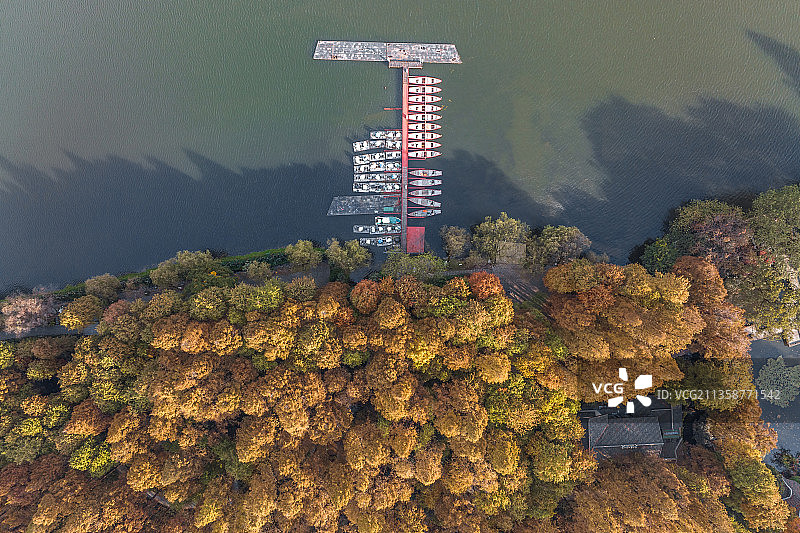 杭州西湖杨公堤秋日风光航拍图片素材