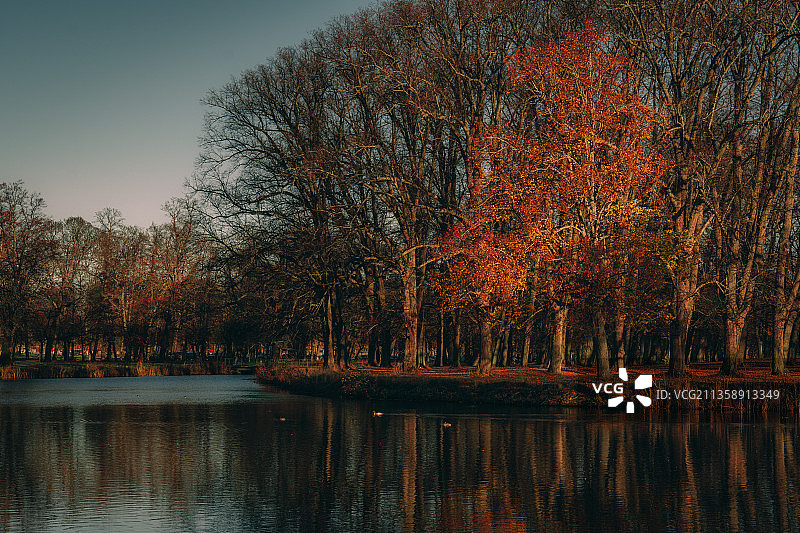 在瑞典的Drottningholm，秋天森林中的湖泊景色图片素材