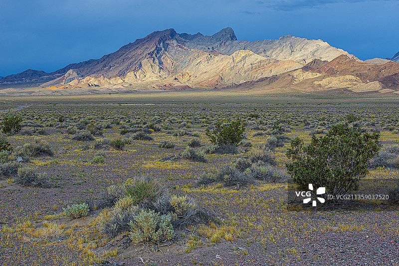 沙漠背对天空的风景，内华达州，美国，美国图片素材