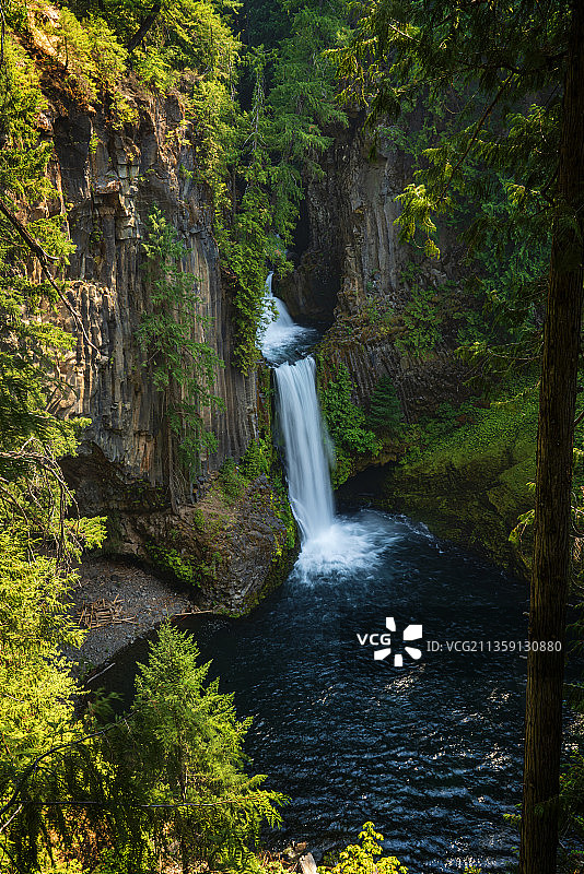 森林瀑布景观，托基提瀑布，俄勒冈州，美国图片素材