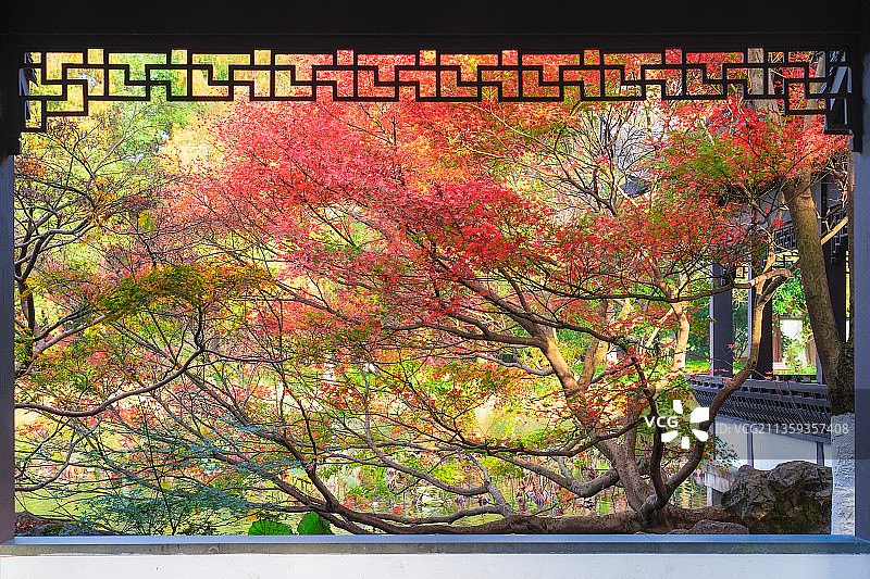 杭州西湖江南园林秋季景观图片素材