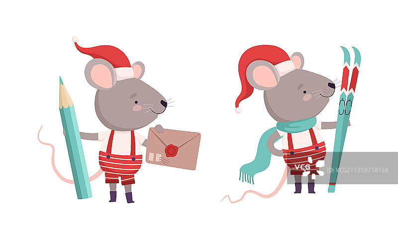 可爱的灰老鼠在圣诞老人的帽子拿图片素材