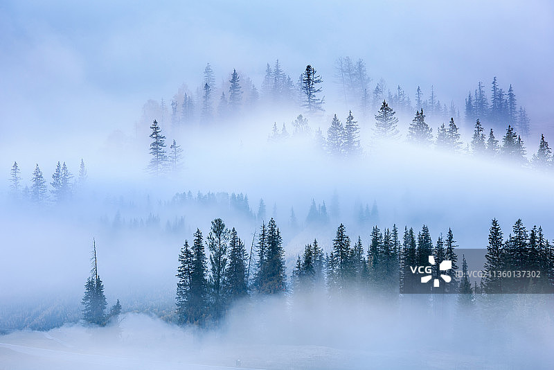 林中晨雾图片素材