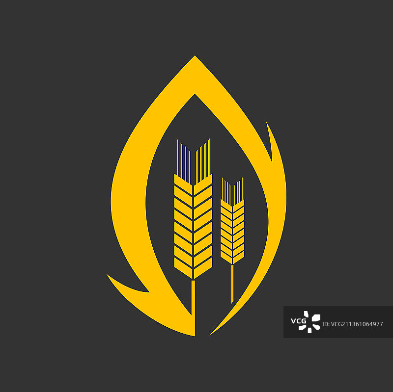 小麦、黑麦或大麦的谷物穗和穗状标志图片素材