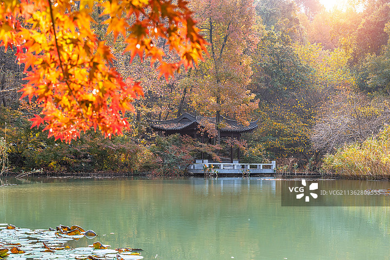 秋天中国南京栖霞山的枫林湖秋景图片素材