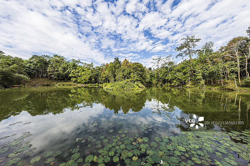 云南西双版纳中国科学院西双版纳热带植物园图片素材