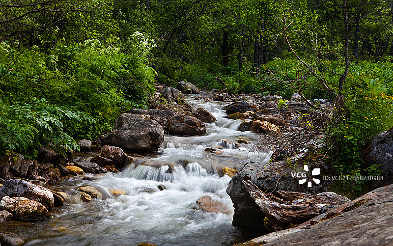 溪流在森林中流动的风景图片素材