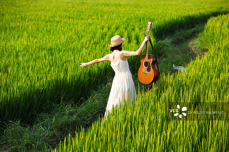年轻女子拿着吉他走在稻田里图片素材