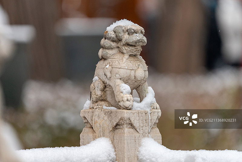 雪后故宫御花园石狮头顶戴雪的唯美雪景图片素材