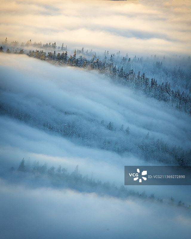 雾波，雪覆大地的风景图片素材