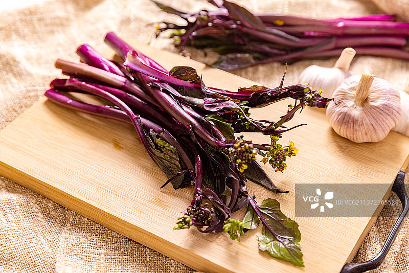 蔬菜 紫菜苔图片素材