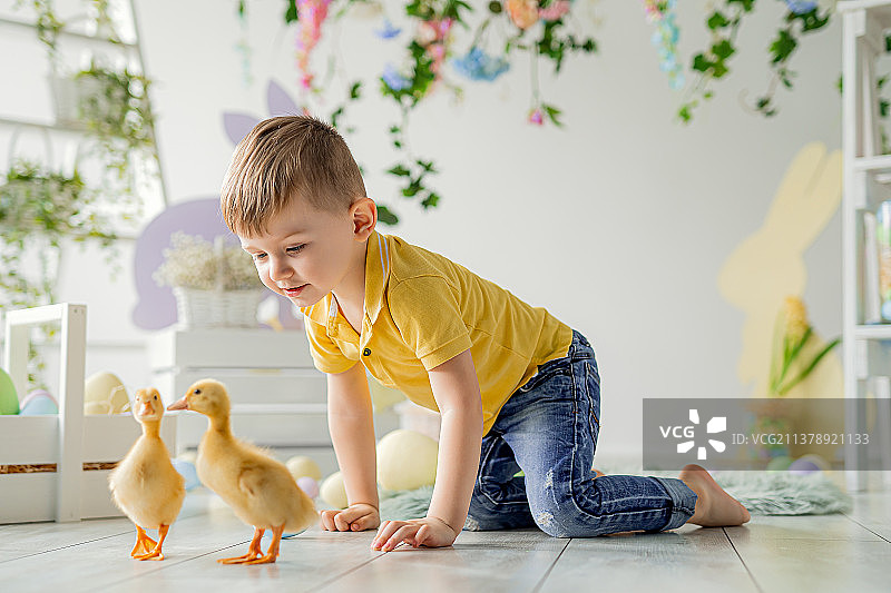 复活节工作室装饰中，小男孩跟着毛茸茸的小鸭子图片素材