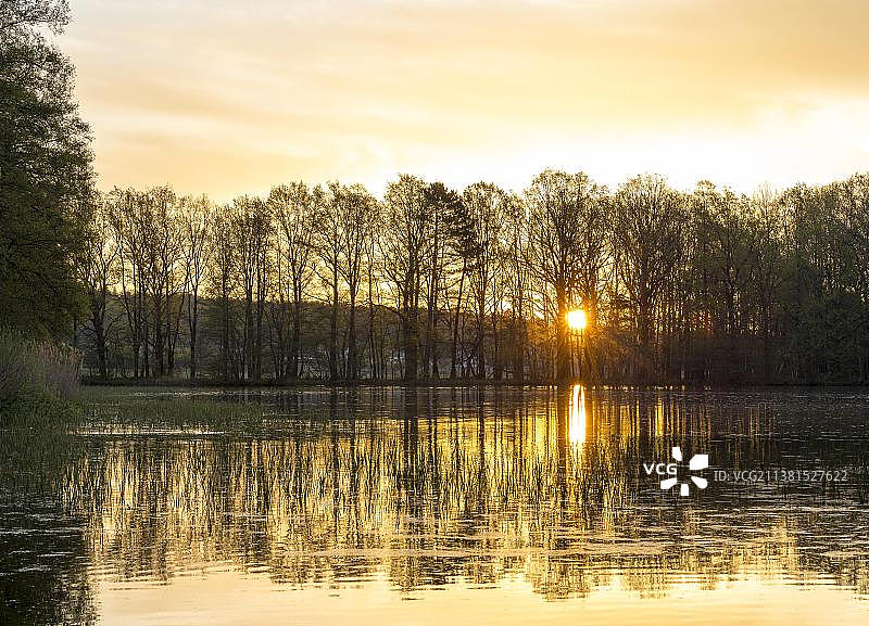 日出在Mittelteich, Biehla-Weissig池塘地区，包岑区，萨克森，德国，欧洲图片素材
