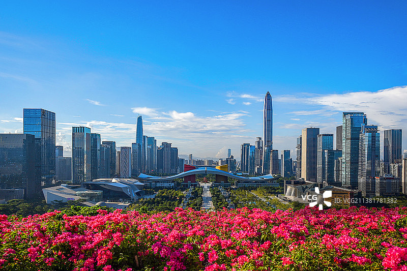 莲花山顶俯瞰深圳市民中心广场图片素材