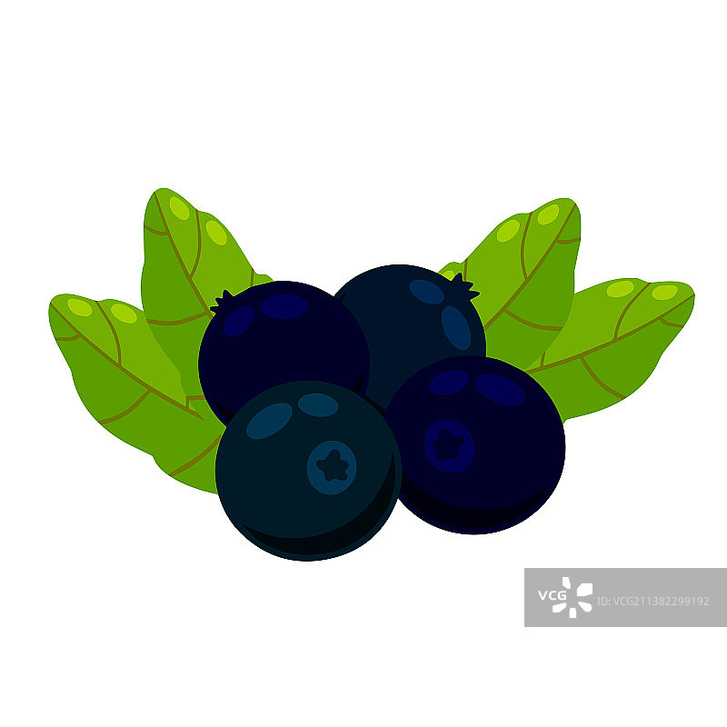 蓝莓，黑莓，健康食品图片素材
