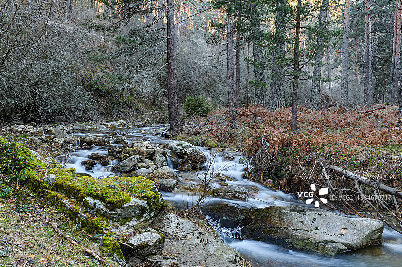 莫罗斯河，风景优美的小溪流过森林中的岩石，埃尔埃斯皮纳，塞戈维亚，西班牙图片素材