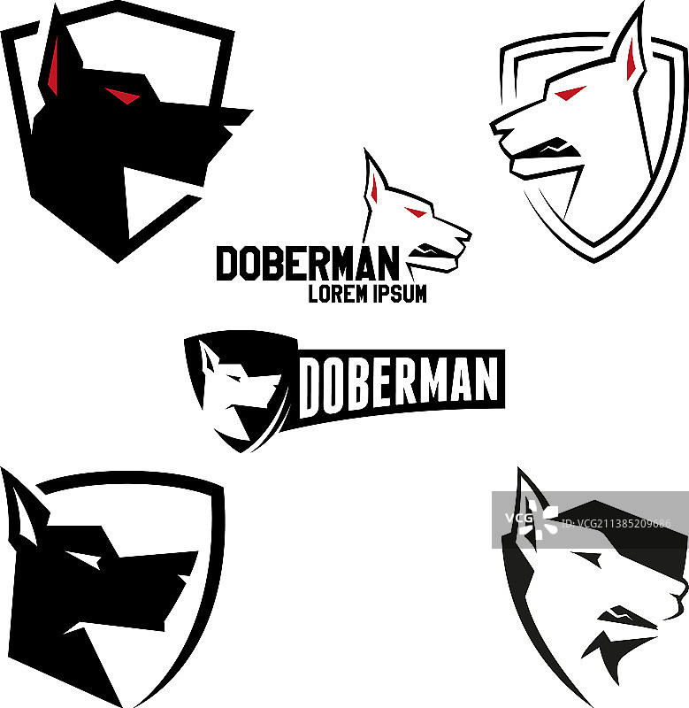 设置logo杜宾logo愤怒的狗设计为您图片素材